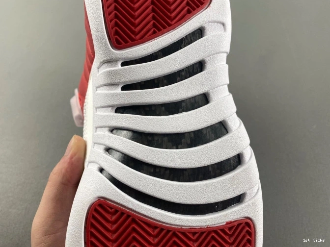 Alternate Air 12 Jordan 130690-600 0712